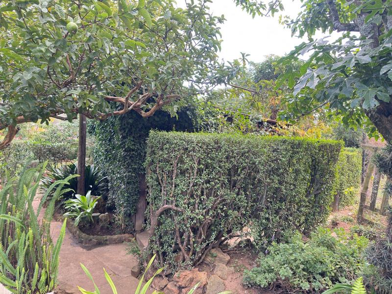 2 Bedroom Property for Sale in Kingswood Eastern Cape